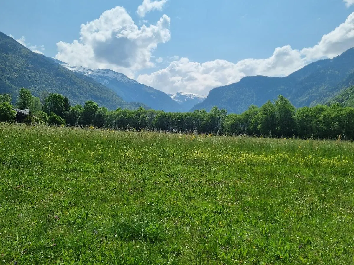 Apartamento Le Grand Tetras Samoëns